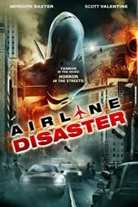 airline disaster 2010