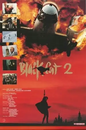 black cat 2 1992