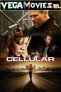 cellular 2004