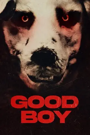 good boy 2022