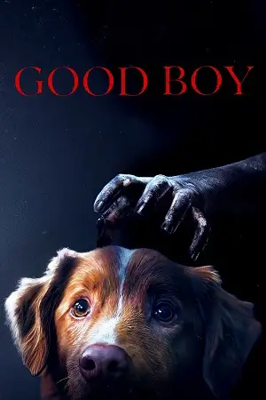 good boy 2025