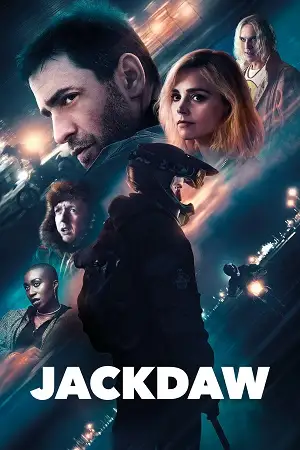 jackdaw 2024