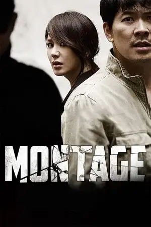 montage 2013