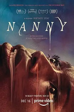 nanny amazon original 2022