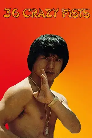 the 36 crazy fists jackie chan and the 36 crazy fists 1977