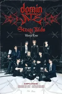 stray kids the dominate experience 2026
